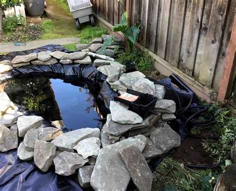 How To Build A Backyard In Ground Garden Pond With Waterfall Curious Girl