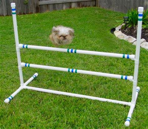 See more ideas about dog agility, agility training for dogs, agile. Dog Agility Equipment Kits - About Us
