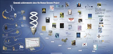 Previously it was estimated to contain 80,000 to 100,000 genes. Sequencing Technology: Where's my MinIon!? - Evolution and ...