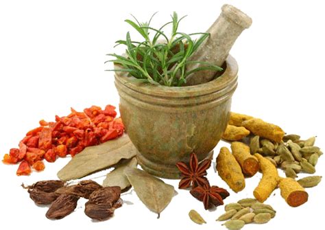 Herb Png شفافة Png All
