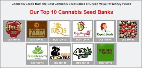 Top 10 Cannabis Seed Banks Discount Cannabis Seeds