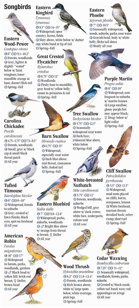 Birds Of Kentucky Quick Reference Publishing