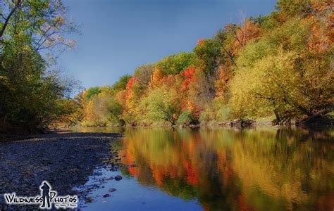 A River Surrounded By Lots Of Trees In The Fall