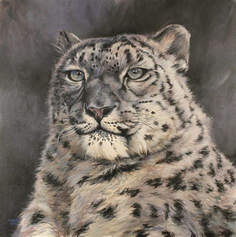 Snow Leopard Painting By Jim Grady Fine Art America