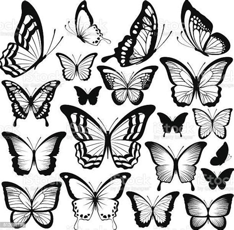 Silhouettes De Papillons Vecteurs Libres De Droits Et Plus Dimages