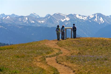 Hikers On The Hurricane Ridge Trail In Olympic National Park