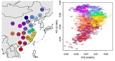 Information Processing Genetic Variation In Han Chinese Population