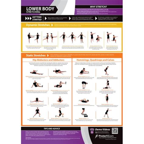 Lower Body Stretching Poster Innovative Gym Fitness Charts