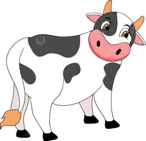 Dibujado A Mano Caricatura Vaca Negra Clipart Png Vaca Blanco The