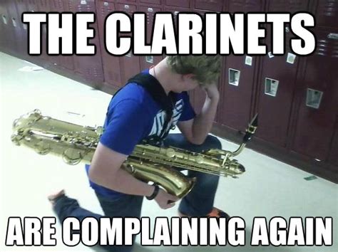 Same For Flutes Cant Judge Im A Flute Playerxd Band Jokes