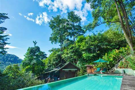 7 Pet Cafes and Pet-Friendly Hotels in Malaysia to Visit for a Furry Time