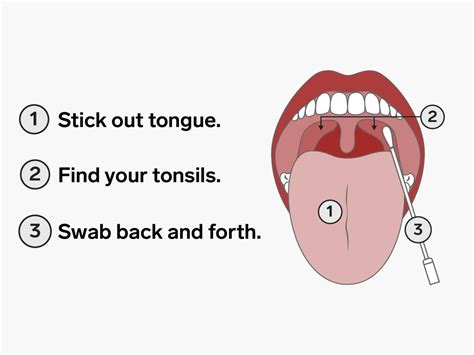 A Step By Step Guide To Swabbing Your Throat For Covid 19 Which May