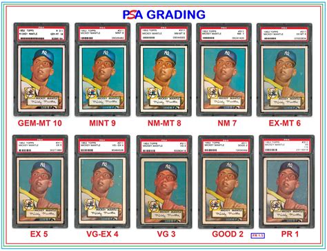 PSA Grading: A Complete Guide about Sports Cards Grading - SlushWeb