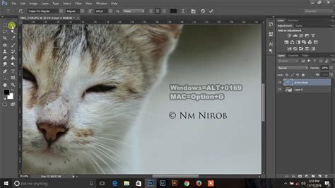 How To Add Copyright Symbol Or Watermark On Photos In