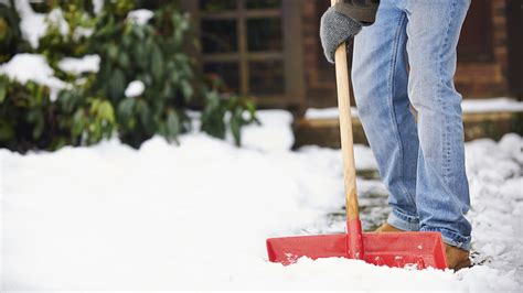 Snow Shoveling Tips Tools And Techniques Foremost Insurance Group