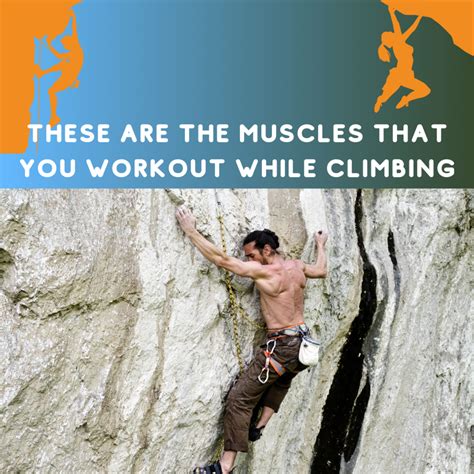 What Muscles Does Rock Climbing Work Out On The Rocks