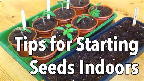 Top Tips For Starting Seeds Indoors Youtube
