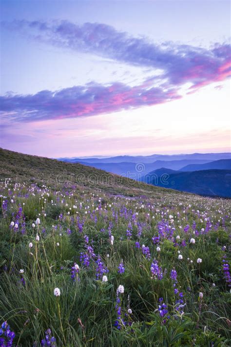 1423 Mountain Oregon Red Stock Photos Free And Royalty Free Stock