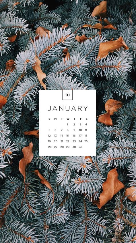 January Desktop And Mobile Wallpaper January