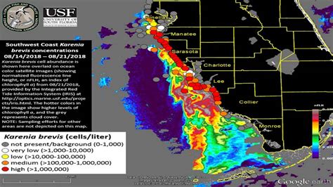 Florida Red Tide Map 2023 World Map