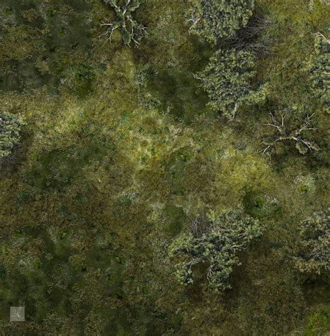 Forest Map Fantasy Map Dungeon Maps