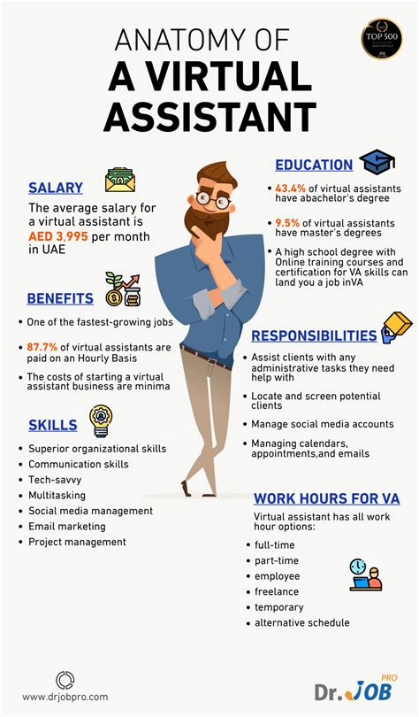 The Anatomy Of A Virtual Assistant [infographic] Career Tips Interview Tips Employer Tips
