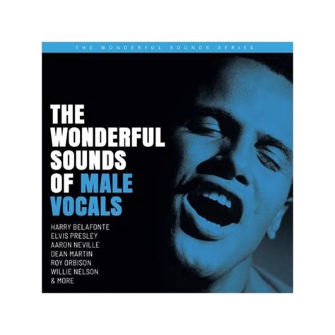 The Wonderful Sounds Of Male Vocals 2lp 200 Gram Vinyl Sterling Sound