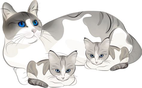 Kitten Clipart Mama Cat Kitten Mama Cat Transparent Free For Download