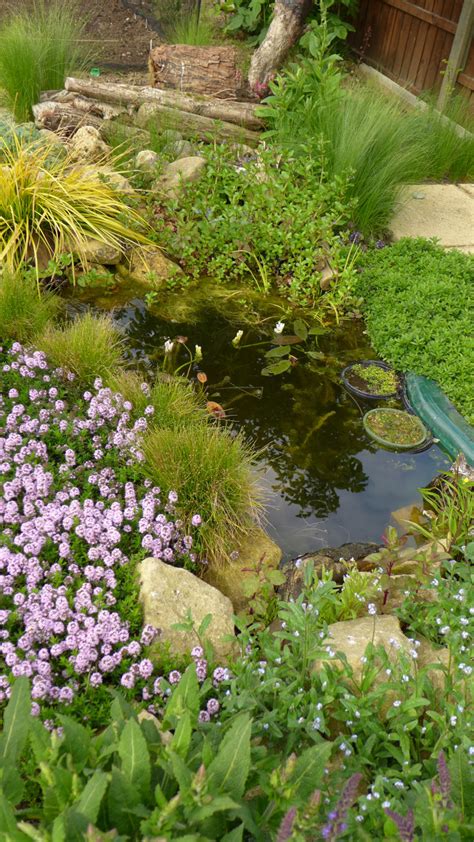 Preformed Wildlife Pond Liners — Bbc Gardeners World Magazine