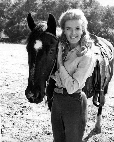 Linda Evans Holding Her Horse As Audra Barkley The Big Valley 8x10 Inch