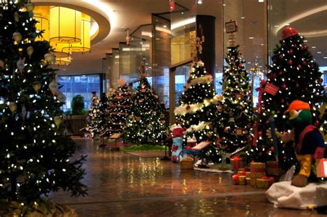 A lobby lined with trees at @Four Seasons Hotel Vancouver makes a