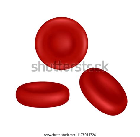 Vector Illustration Red Blood Cells Erythrocytes Stock Vector Royalty