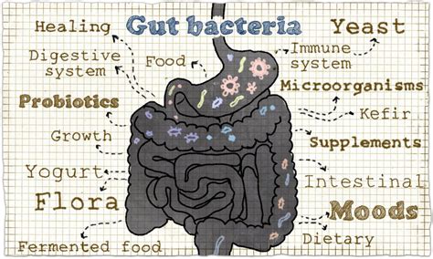The Benefits Of Gut Health Go Beyond Digestion Rob Hobson