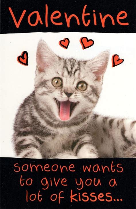 Funny Lots Of Kisses Kitten Valentines Day Card Cards