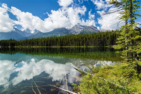Herbert Lake By Sarah Verkaik On 500px Lake Banff National Park