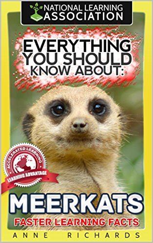 Everything You Should Know About Meerkats Faster Learning Facts By