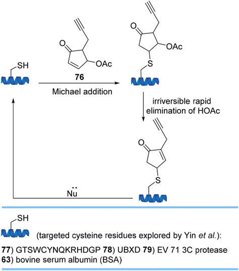 Thia Michael Addition The Route To Promising Opportunities For Fast And Cysteine Specific