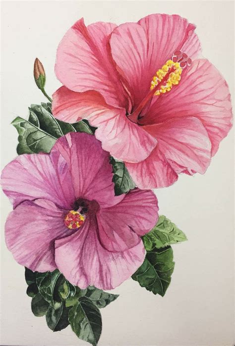 Pin By Annie Jm On BotÂnica Hibiscus Painting Flower Art Watercolor