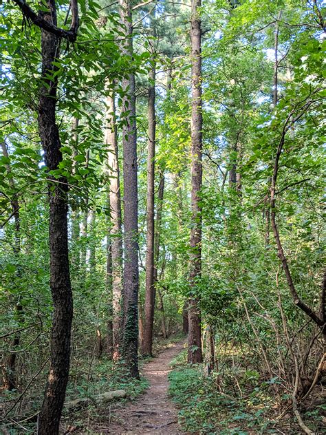 Uw Arboretum Hiking Trails