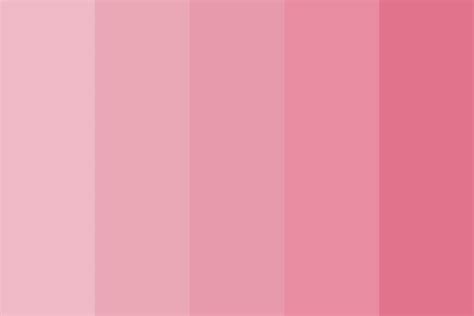 Muted Pinks Color Palette Pink Pantone Colour Palettes Color