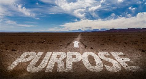 the quest for leadership purpose knowing your purpose unbridling your brilliance