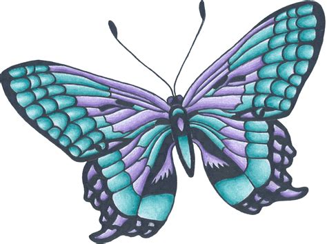 Blue Butterfly Drawing Blue Butterfly Drawings Butterfly Drawings