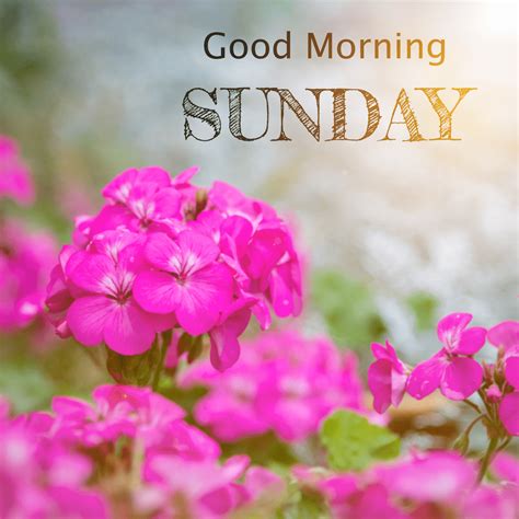 Sunday Is A Wonderful Day Have A Really Great Day With Nice Moments