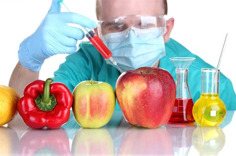 Top 5 Lesser Known Myths About Genetically Modified Food