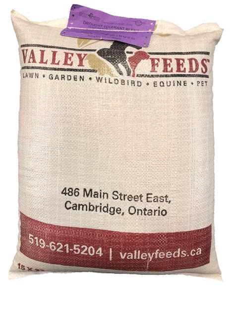 Drought Tolerant Grass Seed Valley Feeds