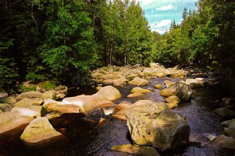 Stones On River In Green Forest Czech Republic August Stock Image