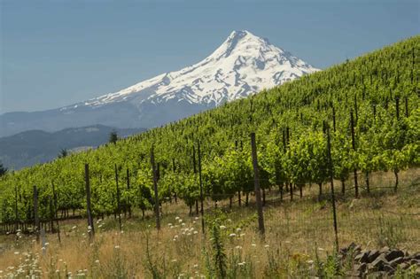 The 10 Best Washington Wineries To Visit California Winery Advisor