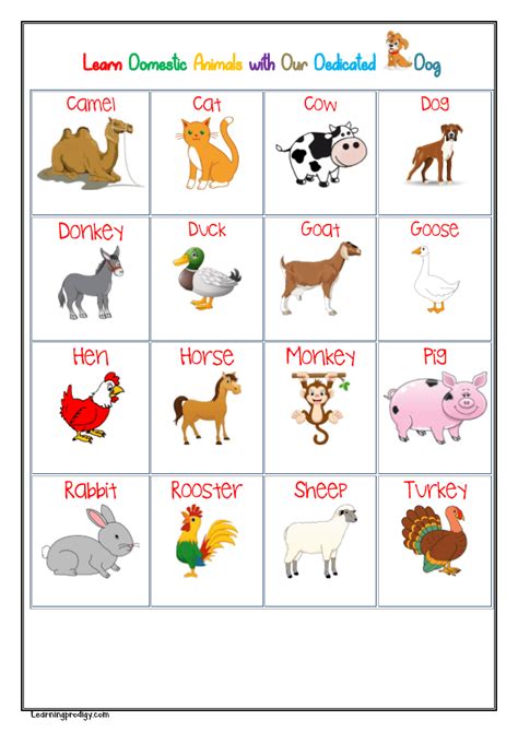 Animal Worksheets Worksheets For Kids Kids Learning Activities