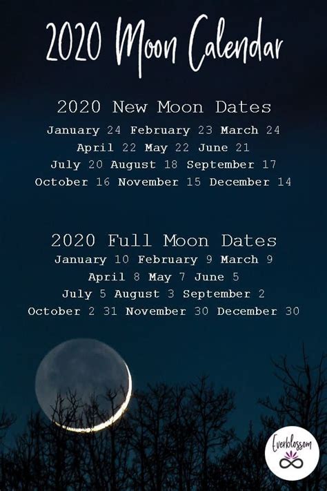 Here Are The Dates Of Every New Moon And Full Moon In 2020 Astrology