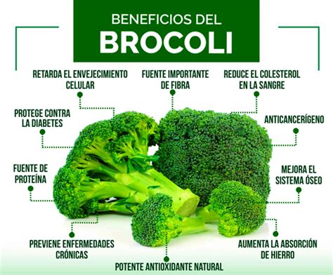 Beneficios Del Brócoli Y La Coliflor Cocina